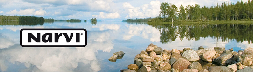 Narvi
