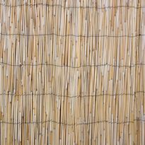 Kaislasermi Home4You IN GARDEN 500x100 cm, beige