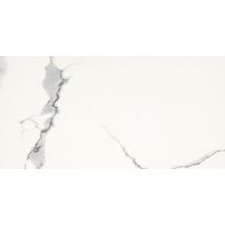 Seinälaatta Carrara Maxi, 30x60cm, sileä, kiiltävä, Verkkokaupan poistotuote