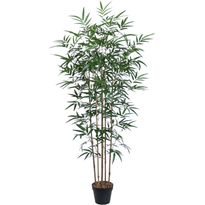 Tekopuu Home4You BAMBOO, K150 cm, 5 puunrunkoa, musta ruukku, vihreä