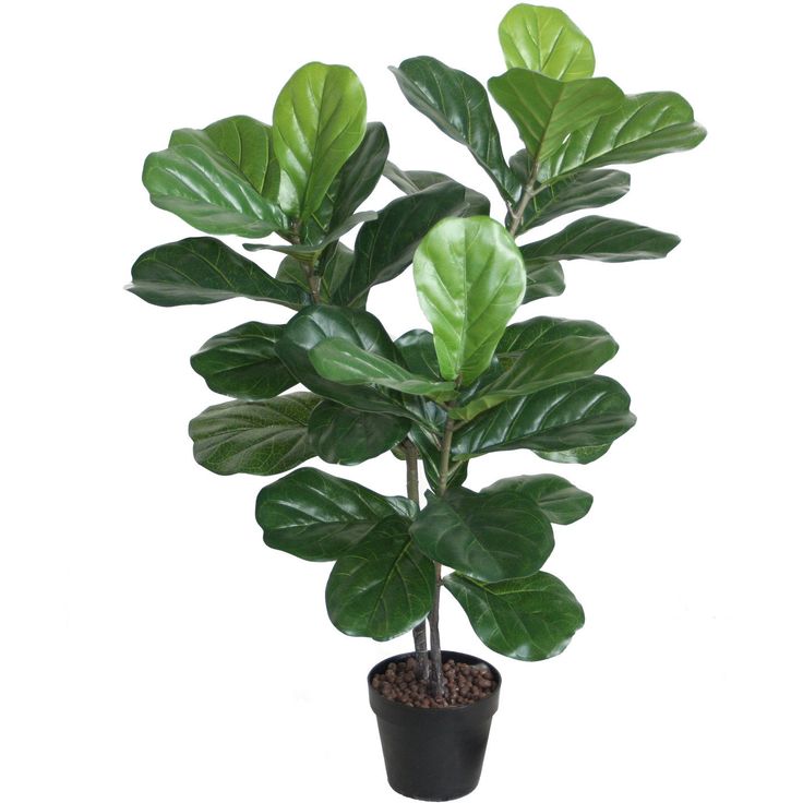 Artificial tree WIND FIDDLE LEAF H100cm
