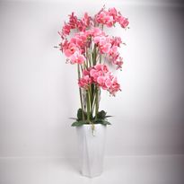 Orkidea Home4You GARDEN QUEEN K132 cm, eri värejä