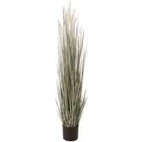 Tekokasvi Home4You GREENLAND K120 cm, ruukussa