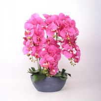 Orkidea Home4You GARDEN QUEEN K64 cm, tumma vaaleanpunainen