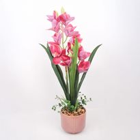 Orkidea Home4You GARDEN QUEEN K70 cm, tumma vaaleanpunainen