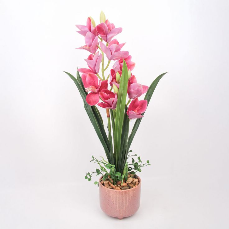 Orchid GARDEN QUEEN H70cm, dark pink