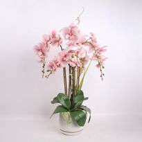 Orkidea Home4You GARDEN QUEEN K68 cm, eri värejä
