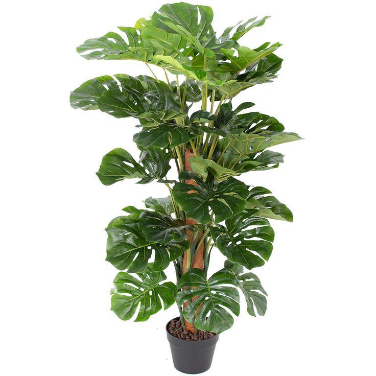 Artificial tree WIND MONSTERA H105cm