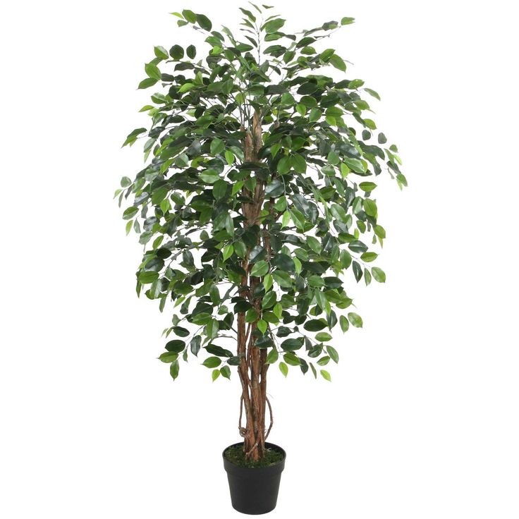Artificial tree WIND FICUS H150cm