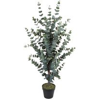 Tekopuu Home4You WIND EUCALYPTUS K120 cm, vihreä