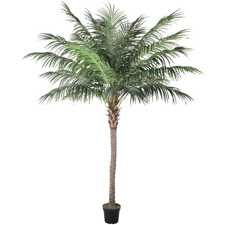 Artificial tree WIND PALM H260cm