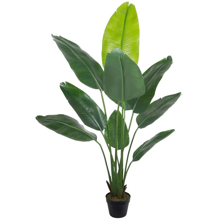 Artificial plant  WIND BIRD OF PARADISE H150cm