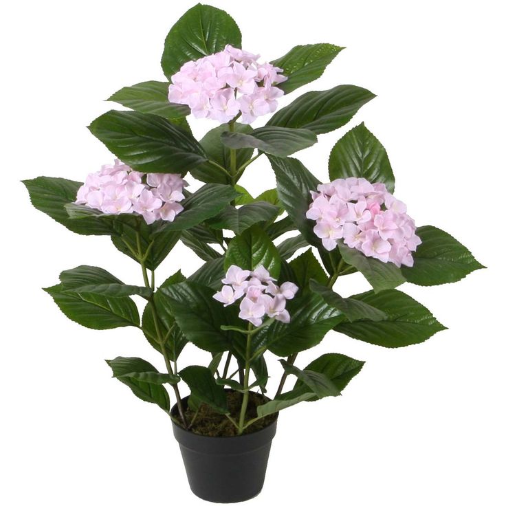 Artificial plant  WIND HYDRANGERA H80cm, pink
