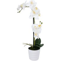 Orkidea Home4You WIND IN GARDEN K51 cm, valkoinen