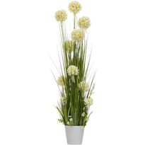 Tekokukka Home4You IN GARDEN K120 cm, valkoinen hyasintti, ruohokasvi ruukulla