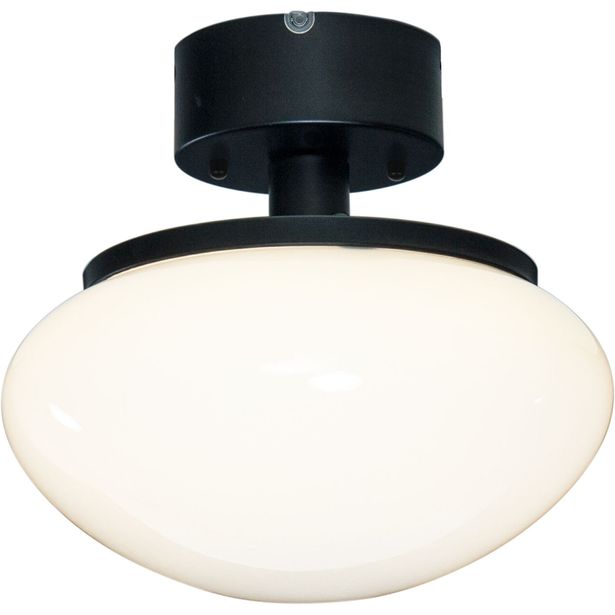Plafondi Aneta Lighting August New