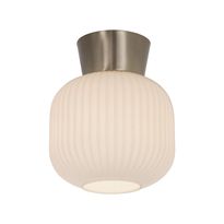 Kattoplafondi Aneta Lighting Vanja valkoinen/teräs