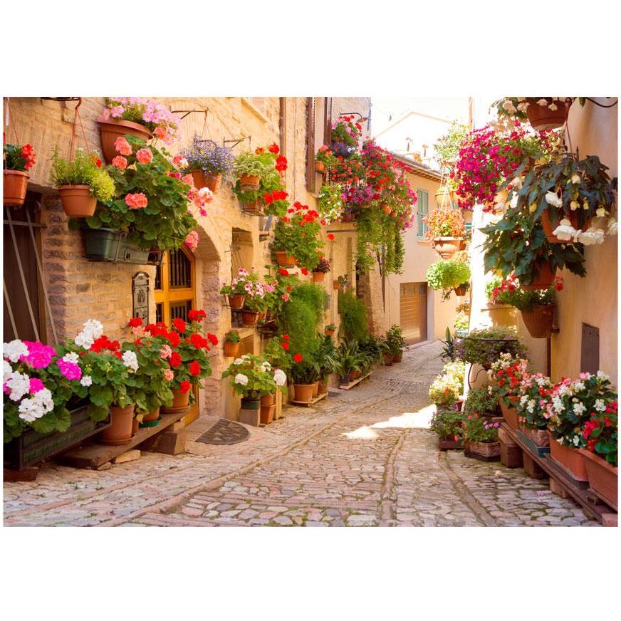 Maisematapetti Artgeist The Alley in Spello, 400x280cm