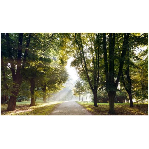Sisustustarra Artgeist Morning Walk II, 280x490cm