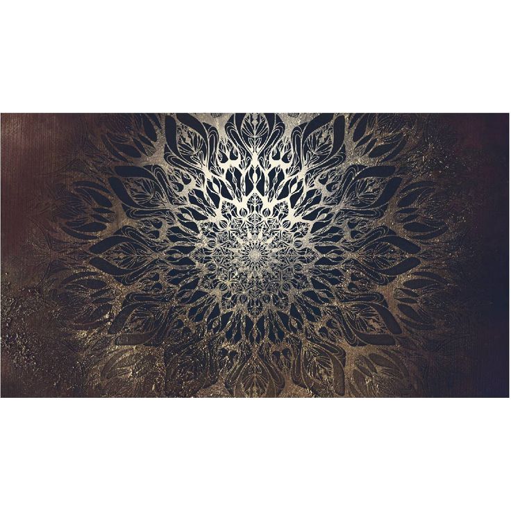 Sisustustarra Artgeist Spider Web II, 280x490cm