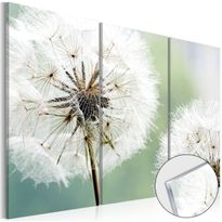 Akryylilasitaulu Artgeist Fluffy Dandelions, eri kokoja