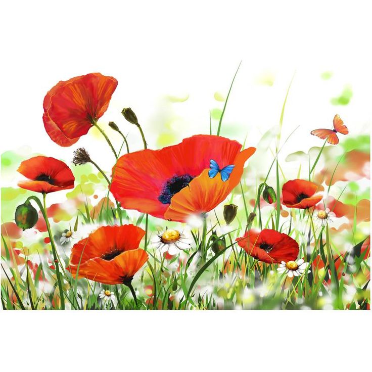 Kuvatapetti Artgeist Country poppies, 270x400cm