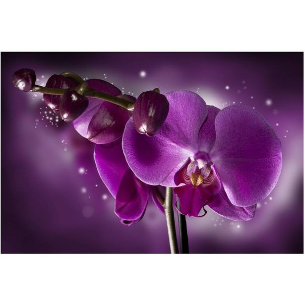 Kuvatapetti Artgeist Fairy tale and orchid, 270x450cm
