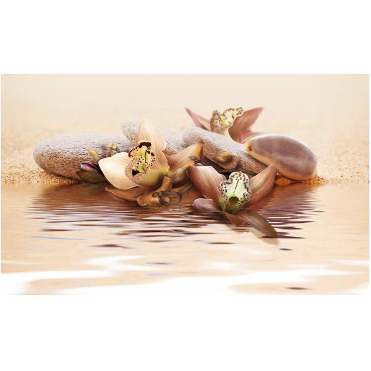 Kuvatapetti Artgeist Beach - water lily, 270x450cm