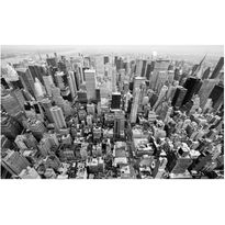 Maisematapetti Artgeist New York: black and white, 270x450cm