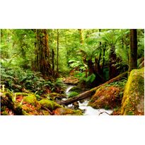 Kuvatapetti Artgeist Rainforest, 270x450cm, vihreä
