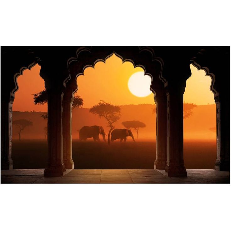 Kuvatapetti Artgeist Hear Africa, 270x450cm