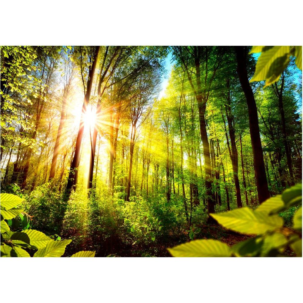 Maisematapetti Artgeist Forest Hideout, 400x280cm