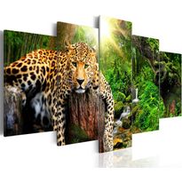 Canvas-taulu Artgeist Predator&#039;s Relaxation, eri kokoja