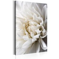 Canvas-taulu Artgeist White Dahlia, eri kokoja