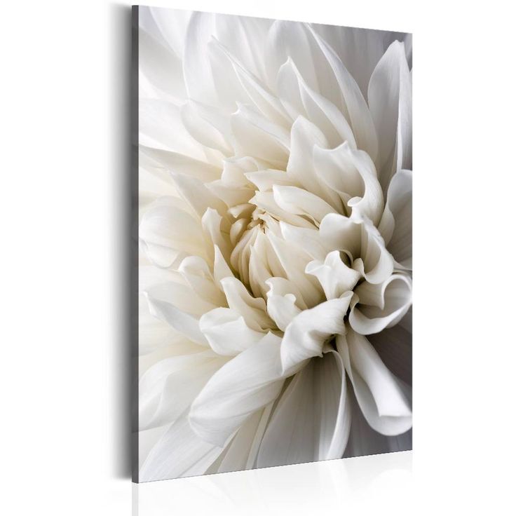 Canvas-taulu Artgeist White Dahlia, eri kokoja
