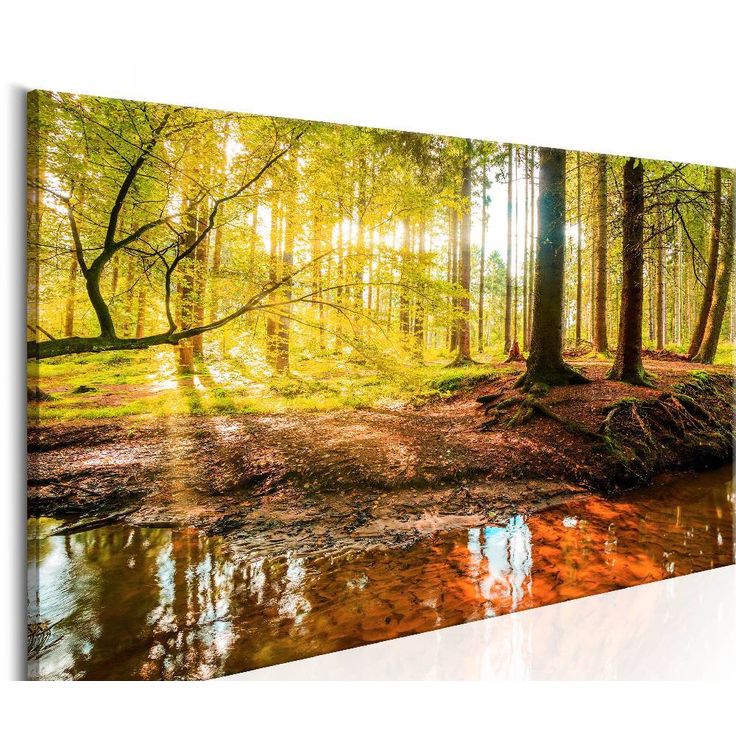 Canvas-taulu Artgeist Autumnal Reverie, eri kokoja