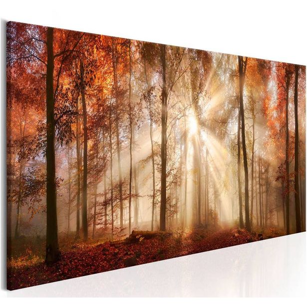 Canvas-taulu Artgeist Autumnal Dawn, eri kokoja