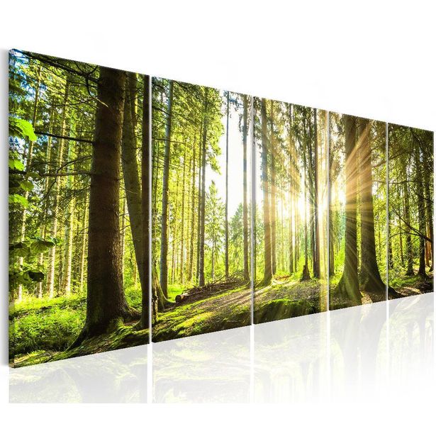 Canvas-taulu Artgeist Sunlight, eri kokoja