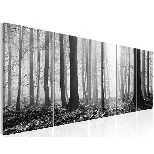 Canvas-taulu Artgeist Monochrome Forest, eri kokoja