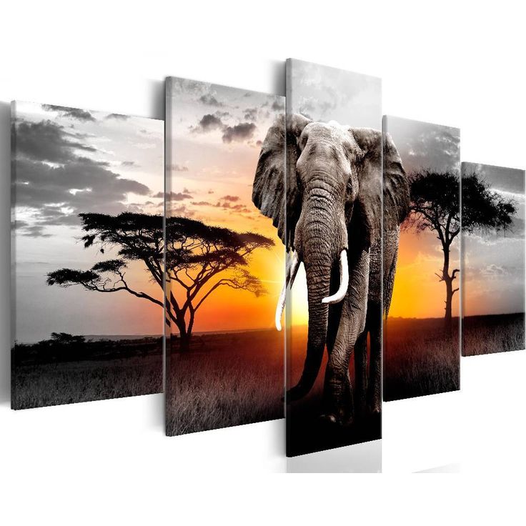 Canvas-taulu Artgeist Elephant at Sunset, eri kokoja