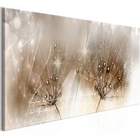 Canvas-taulu Artgeist Drops of Dew Brown, eri kokoja
