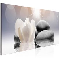 Canvas-taulu Artgeist Pebbles in Water, eri kokoja