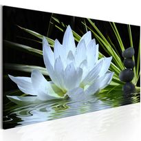 Canvas-taulu Artgeist Zen Garden, eri kokoja