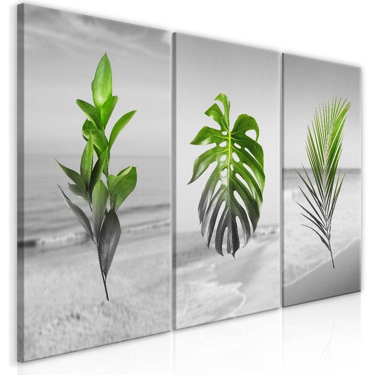 Canvas-taulu Artgeist Plants, eri kokoja