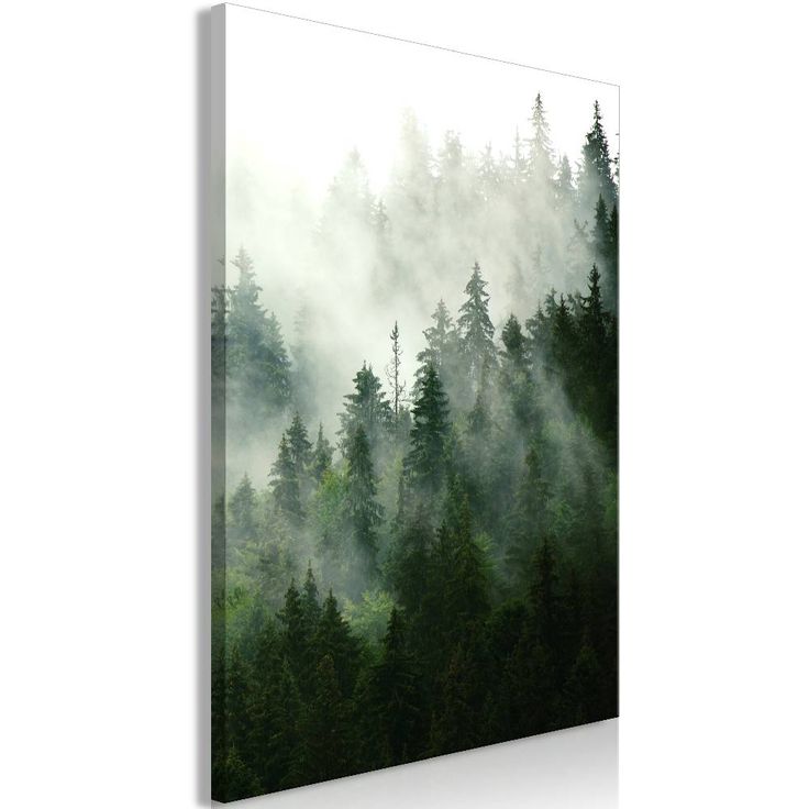Canvas-taulu Artgeist Coniferous Forest, eri kokoja