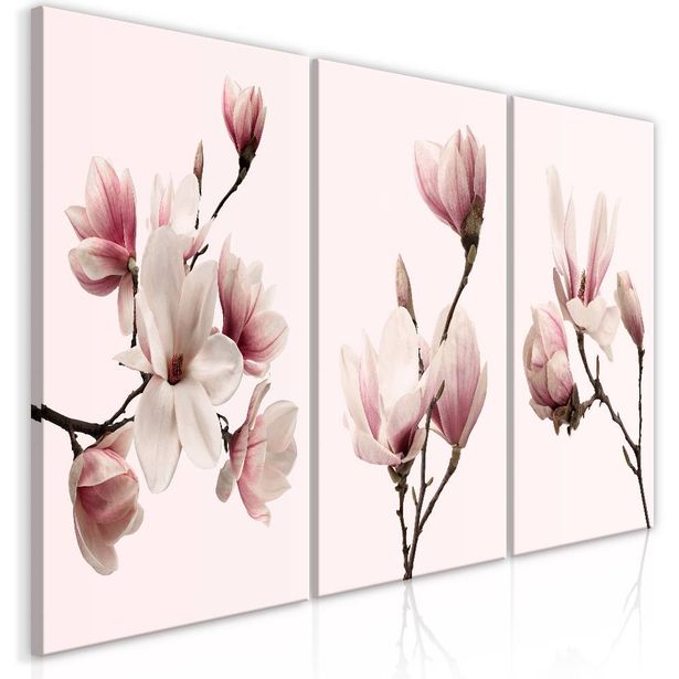 Taulu Artgeist Spring Magnolias, 120x60cm