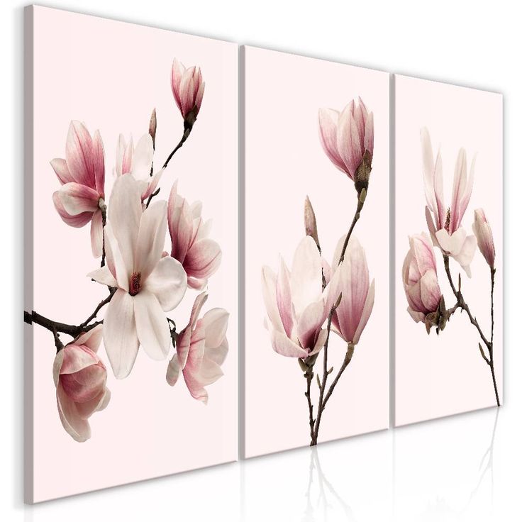 Taulu Artgeist Spring Magnolias, 120x60cm
