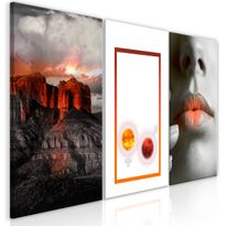 Canvas-taulu Artgeist Passion, 3-osainen, 60x120cm