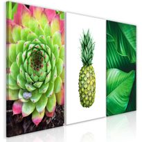 Canvas-taulu Artgeist Treasures of the Tropics, 3-osainen, 60x120cm
