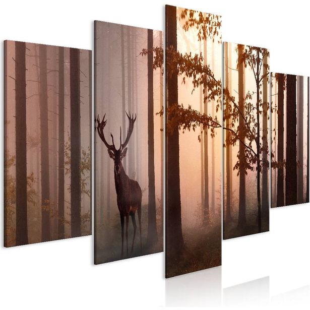Canvas-taulu Artgeist Morning 2, ruskea, eri kokoja